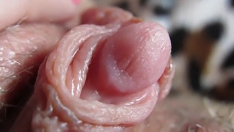 Up-Close And Personal With My Massive Clit Head
